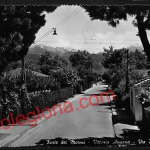ag6533 - CARTOLINA D'EPOCA - Lucca Provincia - Forte dei Marmi