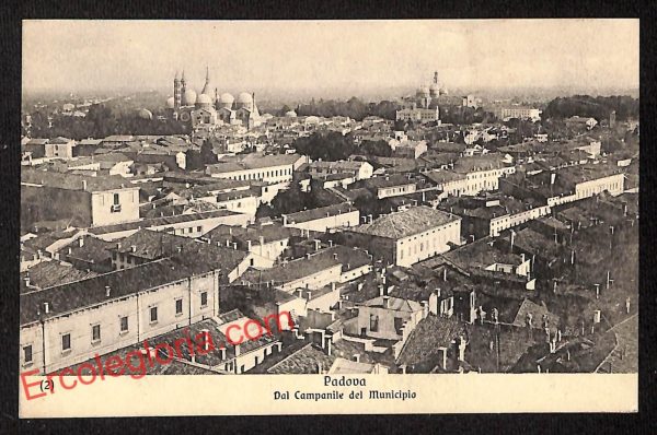 ah4116 - CARTOLINA D'EPOCA - Padova Città - Panorama