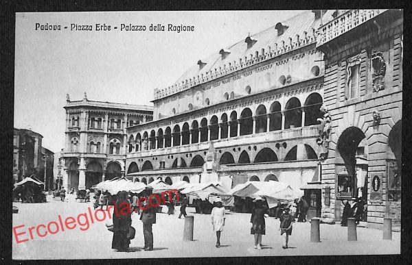 ah4120 - CARTOLINA D'EPOCA - Padova Città - Palazzo della Ragione
