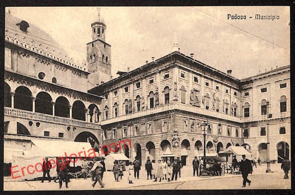 ah4123 - CARTOLINA D'EPOCA - Padova Città - Municipio