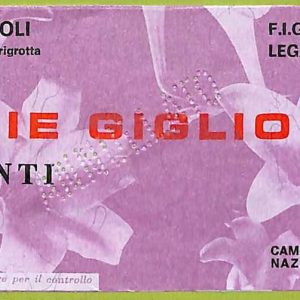 ZA1023   - Vecchio  BIGLIETTO PARTITA  CALCIO -  1975/1976: Napoli