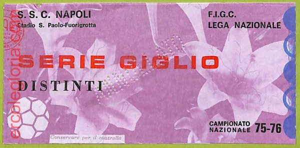 ZA1023   - Vecchio  BIGLIETTO PARTITA  CALCIO -  1975/1976: Napoli