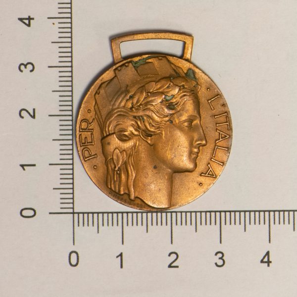 NA0316 - Italia Medaglia Volontari Di Guerra 1915 - 1918 - immagine 2
