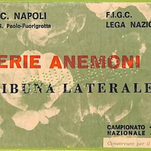 ZA1029   - Vecchio  BIGLIETTO PARTITA  CALCIO -  1975/1976: Napoli