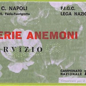 ZA1030   - Vecchio  BIGLIETTO PARTITA  CALCIO -  1975/1976: Napoli