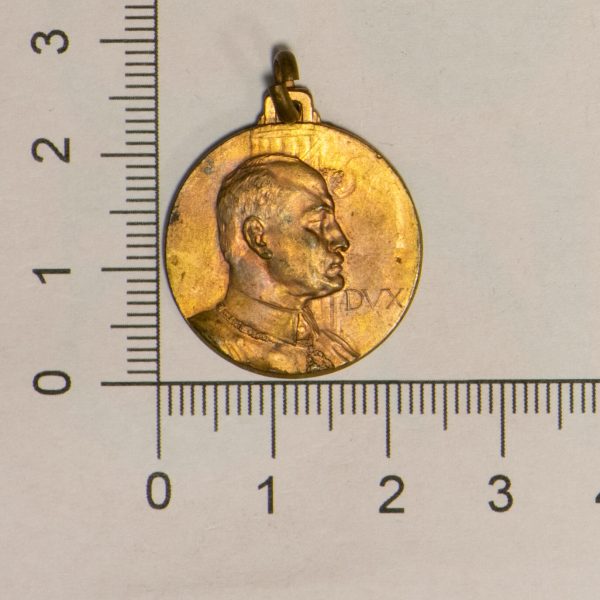 NA0328 - Italia Medaglia Governo E Papa Pio XI