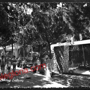 ai0578 - CARTOLINA D'EPOCA - Rimini Città - Dancihg Embassy