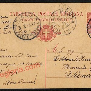 ag1746 - CARTOLINA D'EPOCA - Gorizia Città
