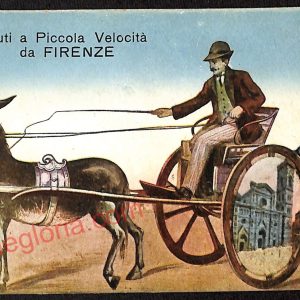 ae7280 - CARTOLINA D'EPOCA - Firenze Città