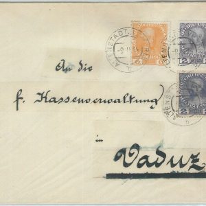 75011 - AUSTRIA - POSTAL HISTORY -   COVER  to  VADUZ Liechtenstein 1914