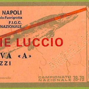 ZA1136 - Vecchio  BIGLIETTO PARTITA  CALCIO -  1978/1979: Napoli