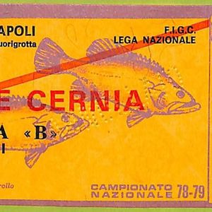 ZA1152 - Vecchio  BIGLIETTO PARTITA  CALCIO -  1978/1979: Napoli