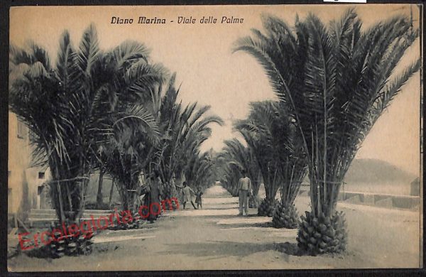 ag4656 - CARTOLINA D'EPOCA - Imperia Provincia - Diano Marina