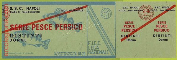 ZA1177 - Vecchio  BIGLIETTO PARTITA  CALCIO -  1978/1979: Napoli
