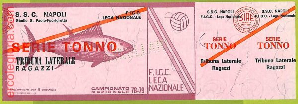 ZA1199 - Vecchio  BIGLIETTO PARTITA  CALCIO -  1978/1979: Napoli