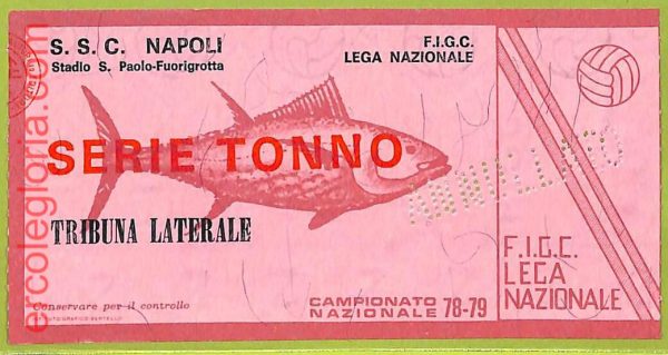 ZA1200 - Vecchio  BIGLIETTO PARTITA  CALCIO -  1978/1979: Napoli