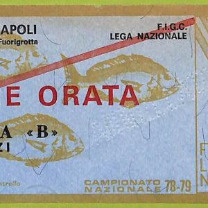 ZA1216 - Vecchio  BIGLIETTO PARTITA  CALCIO -  1978/1979: Napoli
