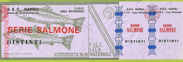 ZA1244 - Vecchio  BIGLIETTO PARTITA  CALCIO -  1978/1979: Napoli - immagine 2