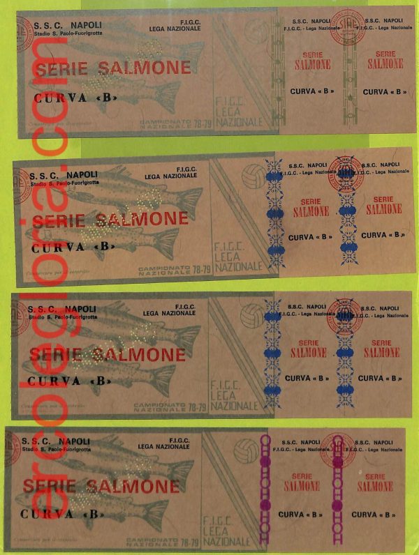 ZA1249 - Vecchio  BIGLIETTO PARTITA  CALCIO -  1978/1979: Napoli