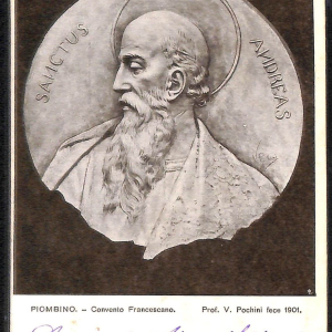 ac8043 - CARTOLINA D'EPOCA - Livorno Provincia - Piombino