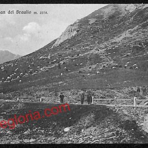 ai7180 - CARTOLINA D' EPOCA - Sondrio Provincia - Stelvio