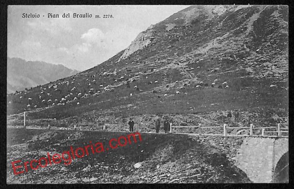 ai7180 - CARTOLINA D' EPOCA - Sondrio Provincia - Stelvio