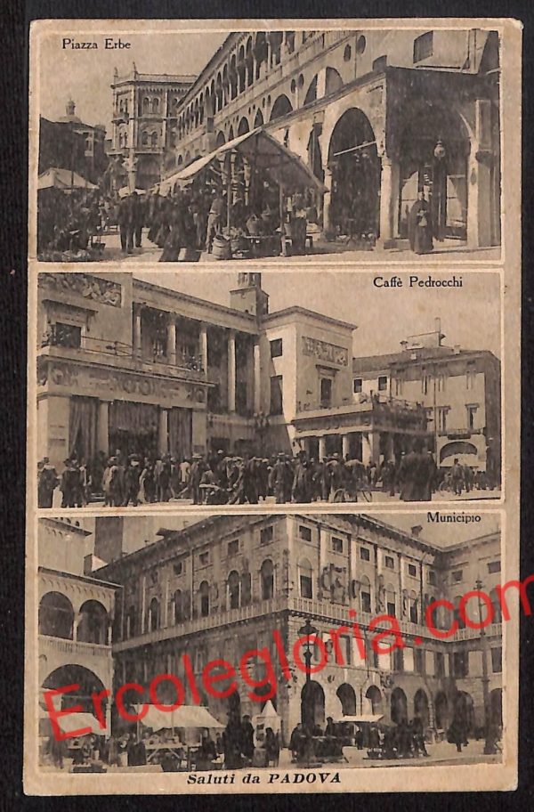 ah4181 - CARTOLINA D'EPOCA - Padova Città - Caffè Pedrocchi