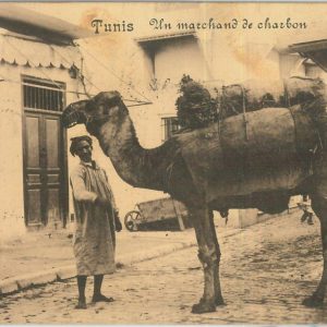 80302  -  TUNISIA  - VINTAGE POSTCARD -  TUNIS  Ethnic  1915