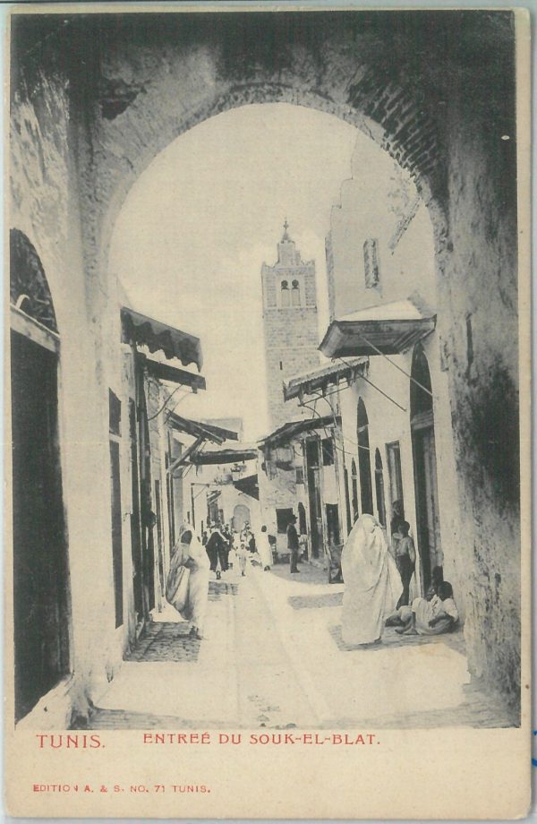 80315  -  TUNISIA  - VINTAGE POSTCARD -  TUNIS