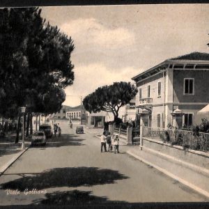 ac7747 - CARTOLINA D'EPOCA - Livorno Provincia - Cecina