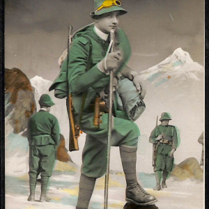 ac6886 - CARTOLINA D'EPOCA - REGGIMENTALI  - Alpini   1935
