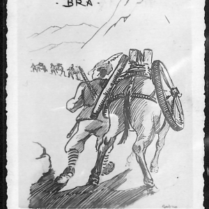 ac6891 - CARTOLINA D'EPOCA - REGGIMENTALI  - Alpini   1934