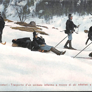 ac6902 - CARTOLINA D'EPOCA - REGGIMENTALI  - Alpini