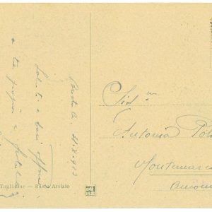 P3909 - ITALIA , 108 KC SASSONE , LEONI 15 CENT, SU CARTOLINA USATO NEL 1923