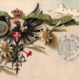 ac6907 - CARTOLINA D'EPOCA - REGGIMENTALI  - Alpini