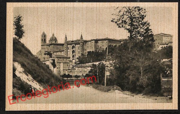 ah6546 - CARTOLINE  D'EPOCA - Urbino Città