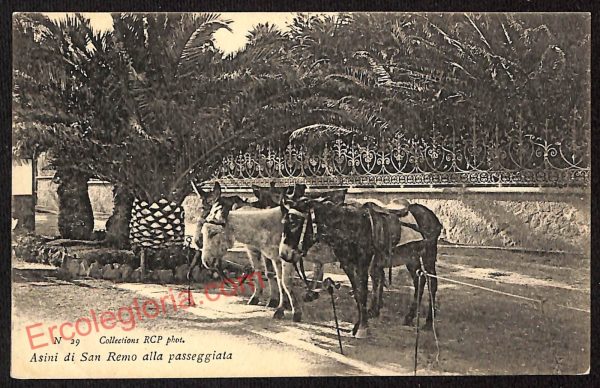 ag4875 - CARTOLINA D'EPOCA - Imperia Provincia - Sanremo