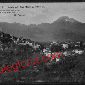 ag6470 - CARTOLINA D'EPOCA - Lucca Provincia - Barga