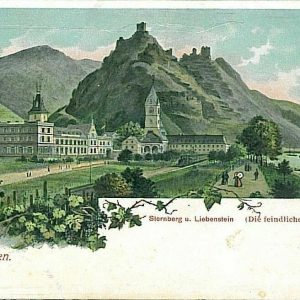 13713 - Ansichtskarten VINTAGE POSTCARD - Deutschland GERMANY -  BORNHOFEN
