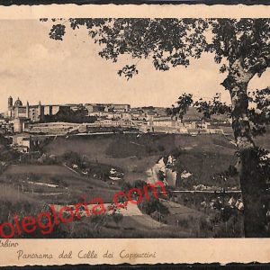 ah6550 - CARTOLINE  D'EPOCA - Urbino Città - Panorama del Colle dei Cappuccini