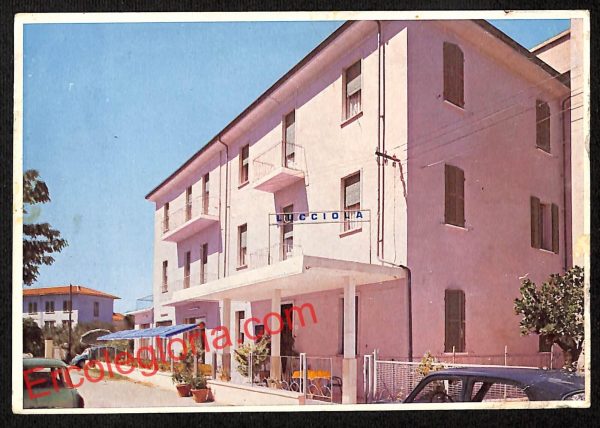 ai0632 - CARTOLINA D'EPOCA - Rimini Città - Pensione Lucciola
