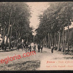 ah7953 - CARTOLINA D'EPOCA - Pistoia Città - Viale d' Arcadia