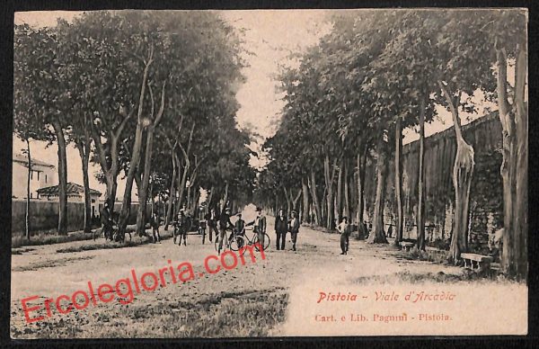 ah7953 - CARTOLINA D'EPOCA - Pistoia Città - Viale d' Arcadia