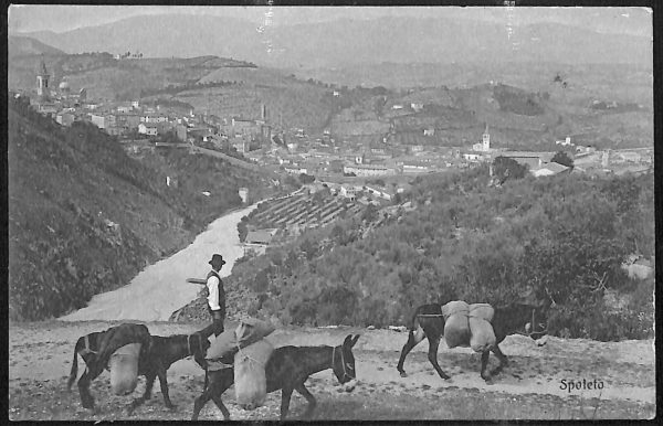 ac3016 - CARTOLINA  D'EPOCA - Perugia Provincia - SPOLETO  1907