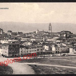 ah7967 - CARTOLINA D'EPOCA - Pistoia Città - Panorama