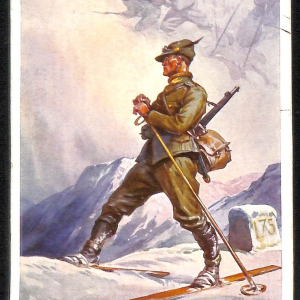 ac6850 - CARTOLINA D'EPOCA - REGGIMENTALI - Alpini