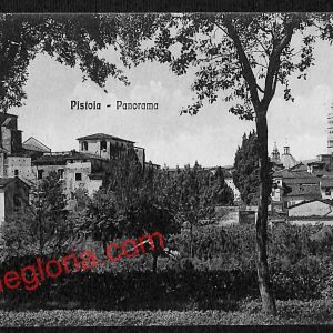 ah7973 - CARTOLINA D'EPOCA - Pistoia Città - Panorama