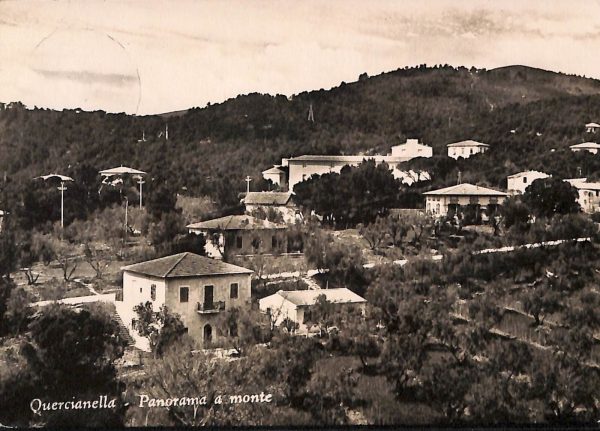 ac8162 - CARTOLINA D'EPOCA - Livorno Provincia - Quercianella