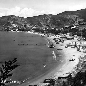 ac7660 - CARTOLINA D'EPOCA - Livorno Provincia - Isola D' Elba - Procchio