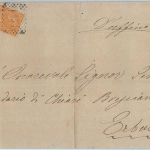 14338 - ITALIA REGNO CIRCOLARE - ANNULLO NUMERALE 1137: GORLAGO 1876